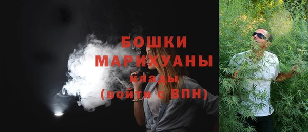 PSILOCYBIN Абаза