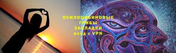 PSILOCYBIN Нефтекумск