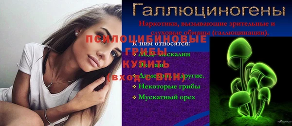 PSILOCYBIN Абаза