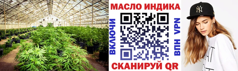 ТГК THC oil купить наркотик Братск